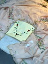 Tew Organza Fabric Flower Work With Border Saree Wholesale In India